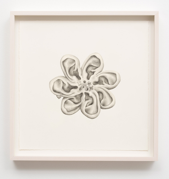 Aurel Schmidt, Untitled (Ears), 2014