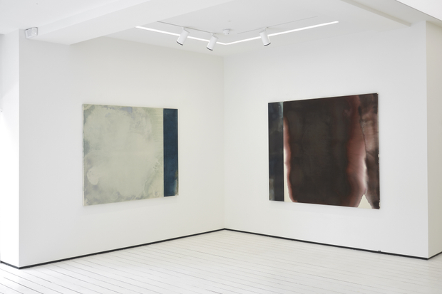 Lock’s artistic process is mysterious and untamed. The painted surfaces evolve overnight in a way that cannot be controlled or...