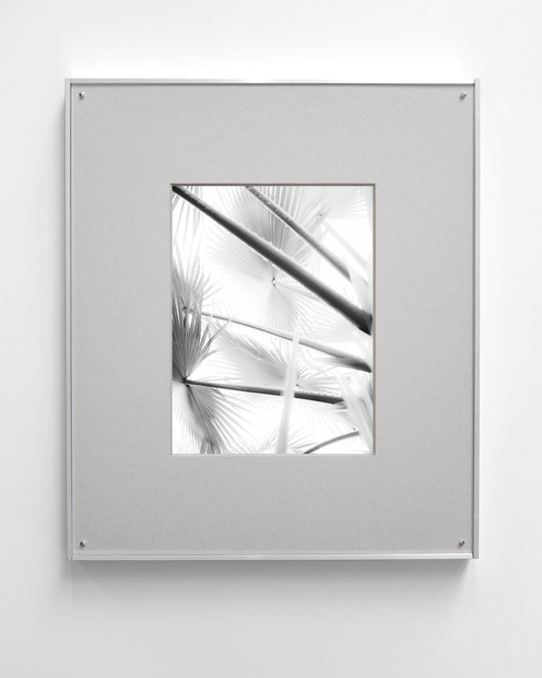 Sybren Vanoverberghe engages with photography, employing diverse printing techniques, installations, structures, and discovered objects in his artistic practice. His creations...