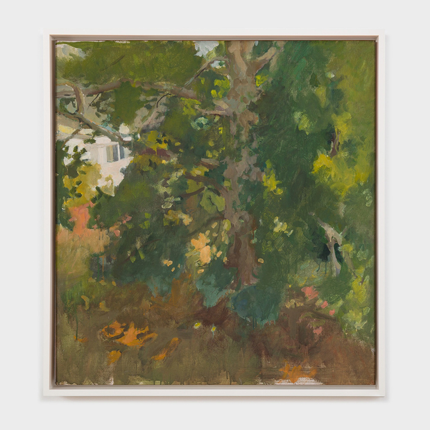 Fairfield Porter The Plane Tree, 1957 oil on canvas 33 x 31 inches 83.8 x 78.7 cm