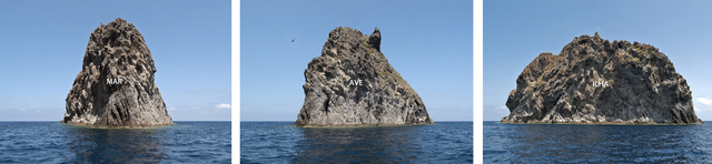 marcos chaves, mar ave ilha, 2011