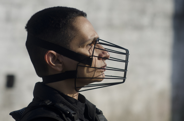 berna reale, palomo # 4 , 2012