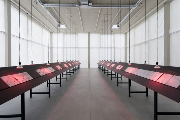 eduardo navarro, into ourselves, 2017