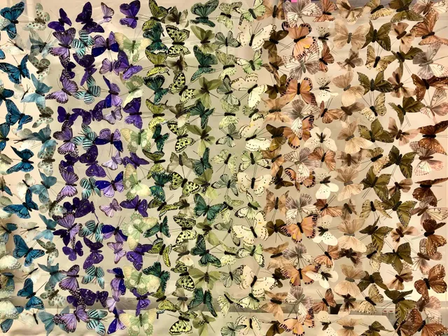 Michael Olsen, BGPT, 2022