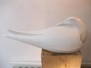 Paul Harvey, Tern Asleep