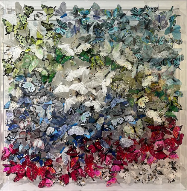 Michael Olsen, Dip Trick II, 2024