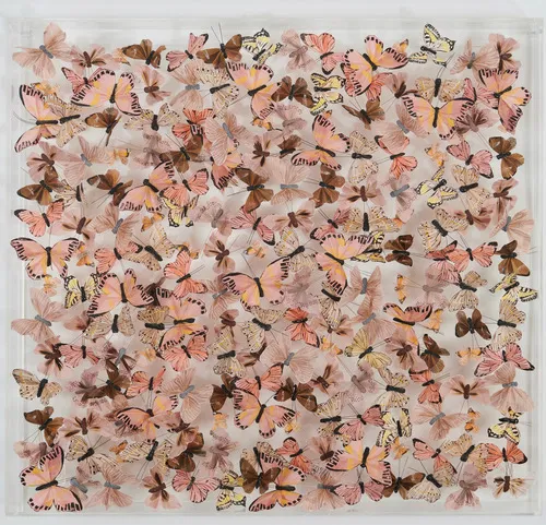 Michael Olsen, Autumnal II, 2021