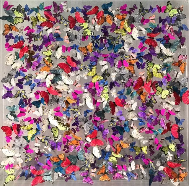 Michael Olsen, Duke of Burgundy II, 2019