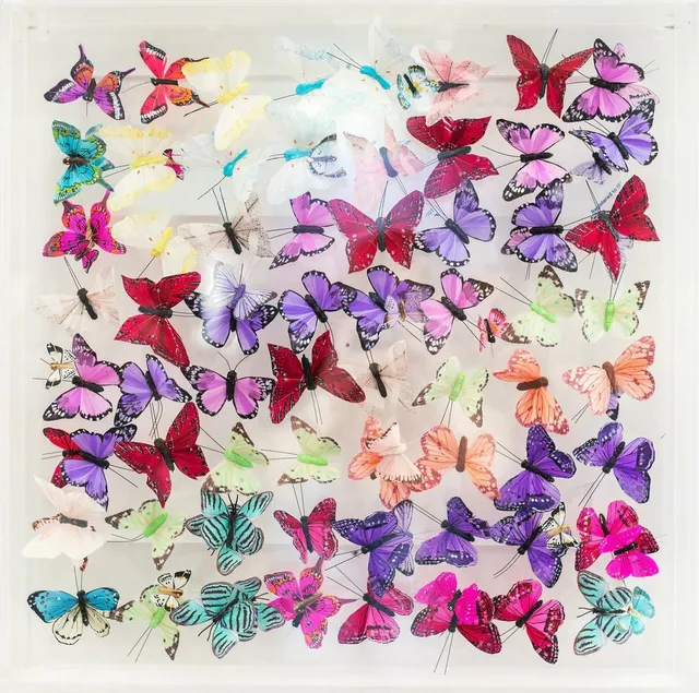 Michael Olsen, SUMMER BREEZE