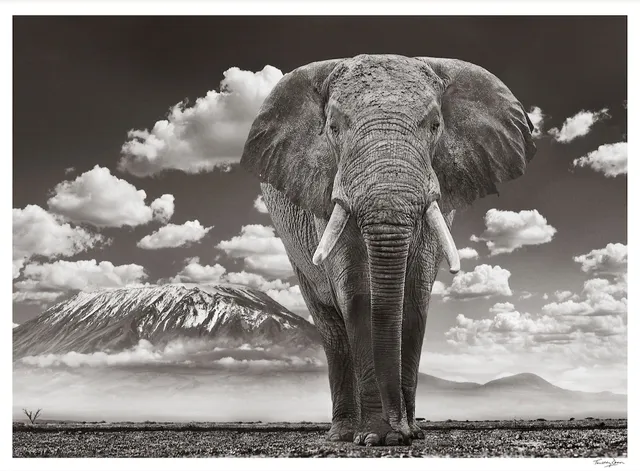 Timothy Dunn, Lord of the Manor, 2019