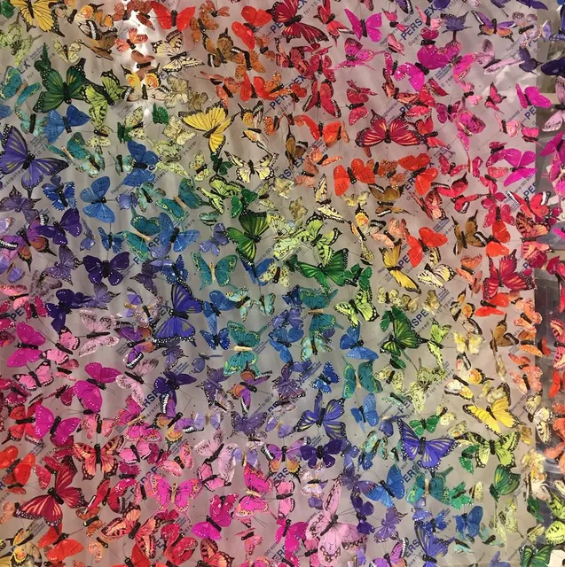 Michael Olsen, MANIOLA JURTINA , 2018