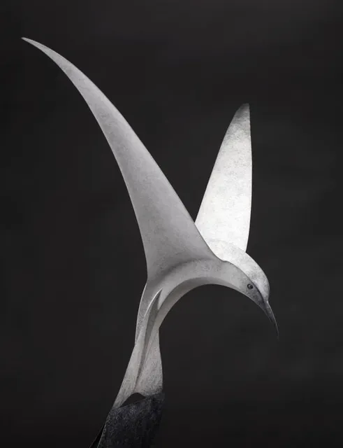 Paul Harvey, Tern Diving