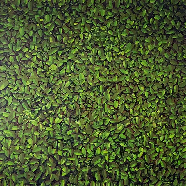 Ivan Loboguerrero's "Respiracion Profunda," Oil on linen painting