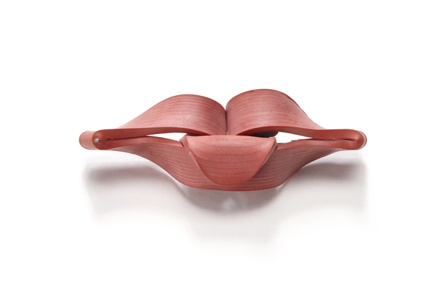 David Bielander, Lips, 1999