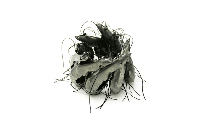 David Bielander, Scampi