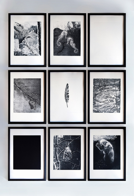 Nicole Wassall’s Unicorns at Fiumano Clase - Arts & Collectors