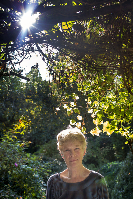 Wendelien Schönfeld