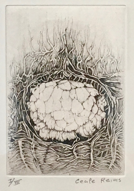 Cécile Reims, D'un Lointain passé - Gravure #1, 2017