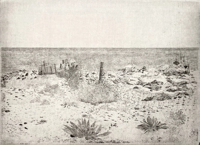 Charles Donker, Eemsdelta II, 2025