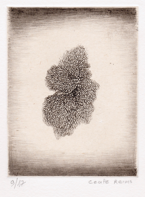 Cécile Reims, D'un lointain passé, 2017