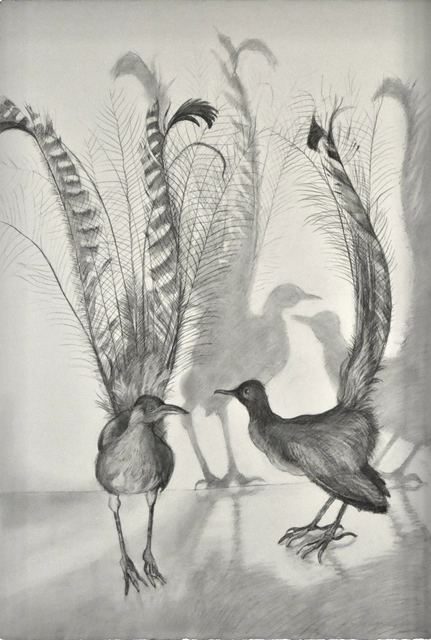 JUDITH ROTHCHILD, BESTIAIRE ET AUTRES CURIOSITÉS