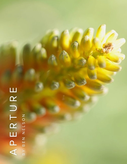 Igoraphobia, New Works