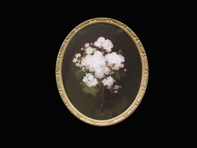 James Stuart Park, Primulas