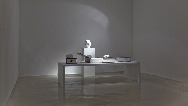 Li Hongjun, Into Papers