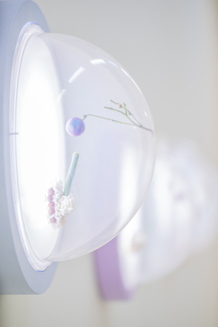 Qiu Jingtong, Shoot at Grapes