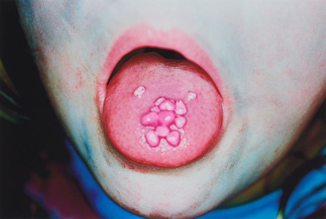 Anne Noble, 'Ruby's Room 16', 2000 at Wellington City Gallery, Everything has Changed