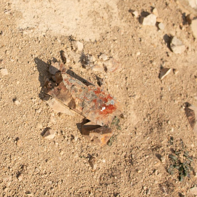 Nathan Pohio: 'Let it be to a Lofty Mountain'