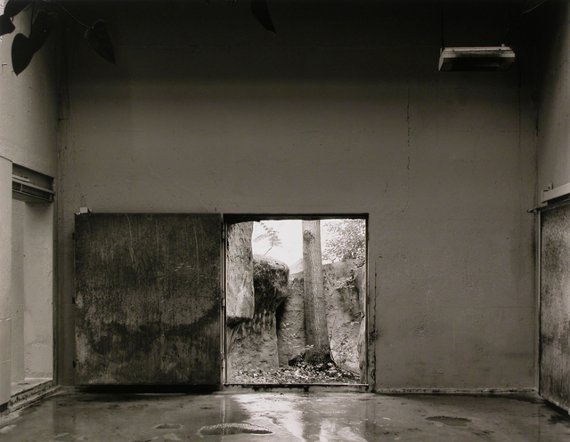 Volker Seding 1943-2007 Tapir Exhibit, Brookfield Zoo, 2005 Signed, titled, dated, and editioned, in pencil, au mount recto Titled, dated, and editioned, in pencil, with artist stamp, in ink, au mount verso Printed in 2006 Gelatin silver print mounted to 24 x 28 inch (60.96 x 71.12cm) archival board 14 x 18 in 35.56 x 45.72 cm Edition of 15