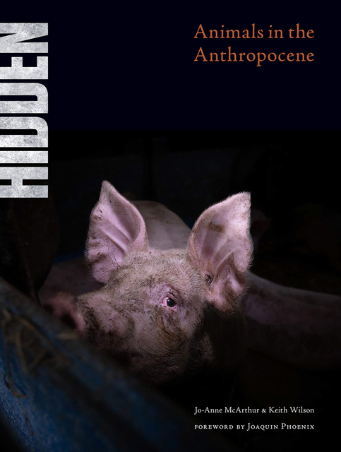 HIDDEN: Animals in the Anthropocene, $95.00 + HST & Shipping