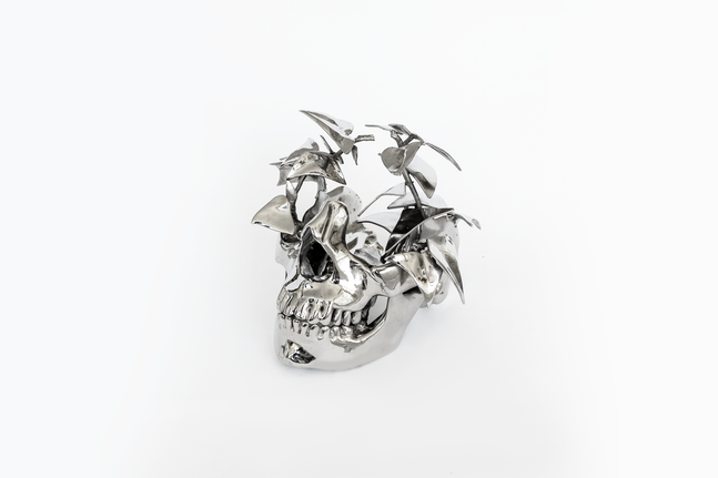 Marta Mattioli

I Was Cheering (Vanitas II), 2025

bronze, brass, nickel chrome

8 1/2 x 10 x 9 in
22 x 26 x 23 cm