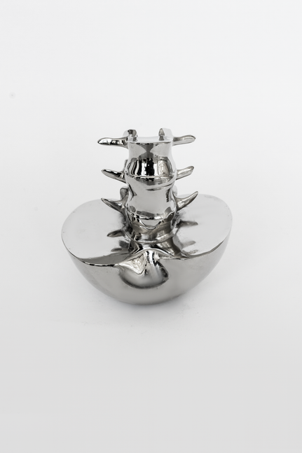 Marta Mattioli

Hedon, 2024

bronze, nickle chrome

9 x 6 x 4 1/2 in
23 x 15 x 12 cm