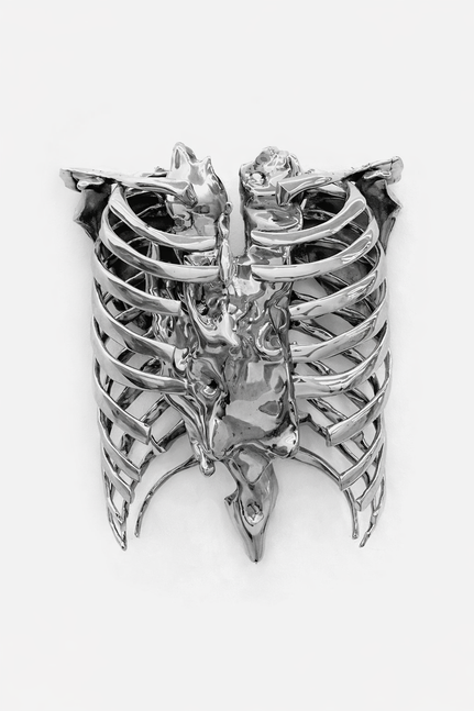 Marta Mattioli

Solastalgia, 2025

bronze, nickel chrome

17 1/2 x 12 x 10 in
45 x 30 x 25 cm