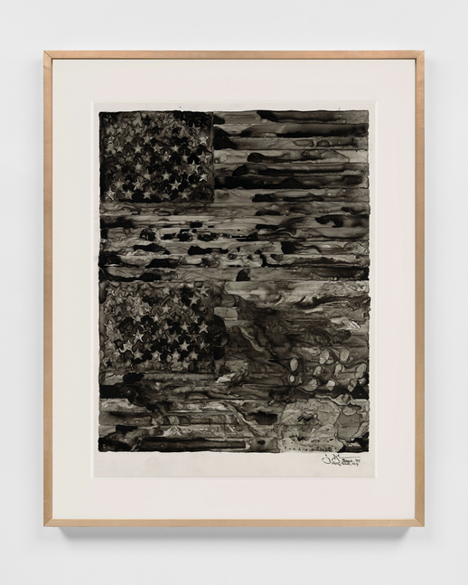 Two Flags, 1985

Ink on plastic

26 3/4 x 22 inches

Whitney Museum of American Art, New York

Gift of The American Contemporary Art

Foundation, Inc., Leonard A. Lauder, President