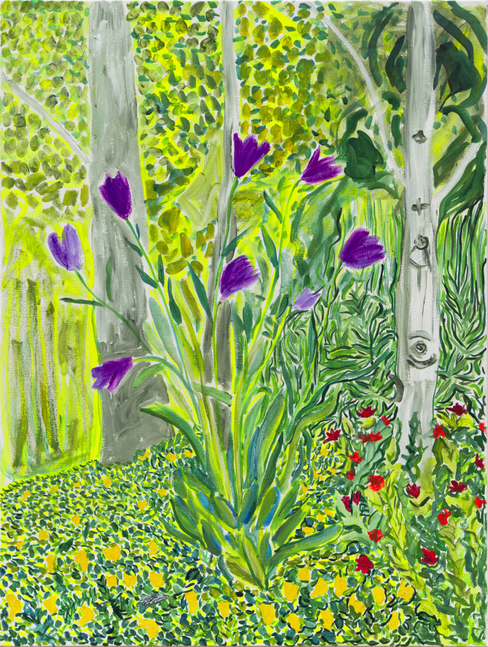 Bellflowers in Aspen, 2025
Acrylic on canvas
40 x 30 inches