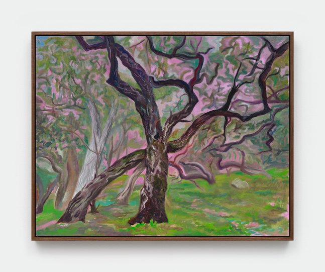 A painting by Mira Dancy of arching oak trees in a green meadow with a pink sky in the background.