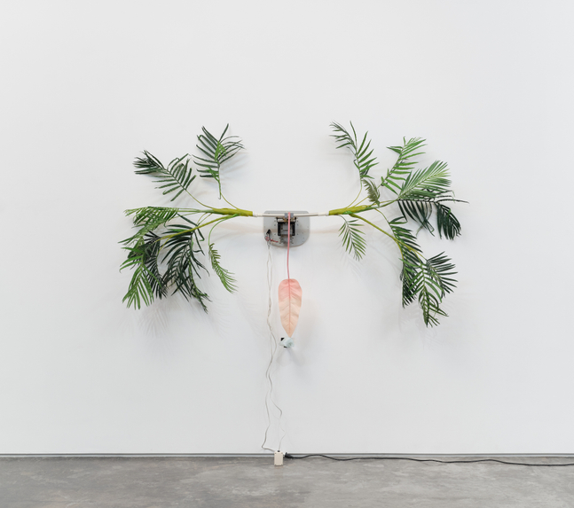 A wall mounted sculpture by Rachel Youn of plastic palm tree leaves attached to a motor that moves side to side with a pink plastic leaf attached that moves over a piece of blue glass.