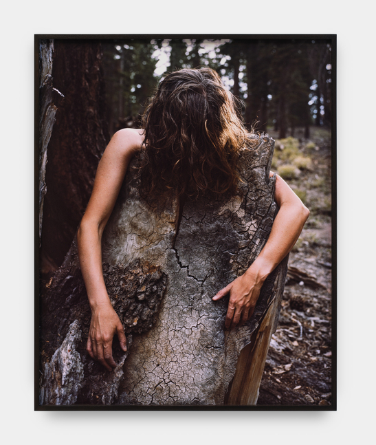 A framed photograph by Melanie Schiff of a woman with brown hair with her arms wrapped around a tree stump.