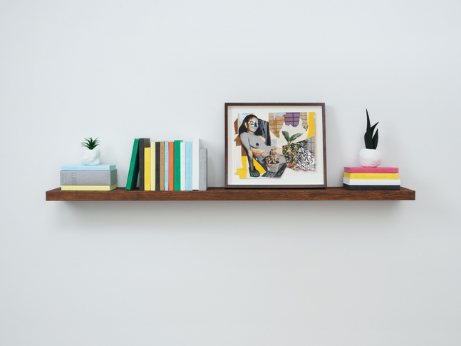 Jet Blue #4 Deux on Bookshelf with 2 Plants, 2025