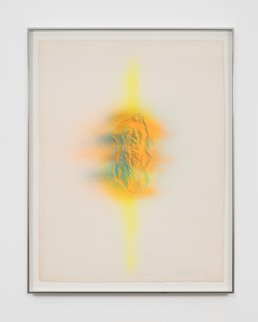 Tetsumi Kudo, Fossil in Hiroshima, 1976