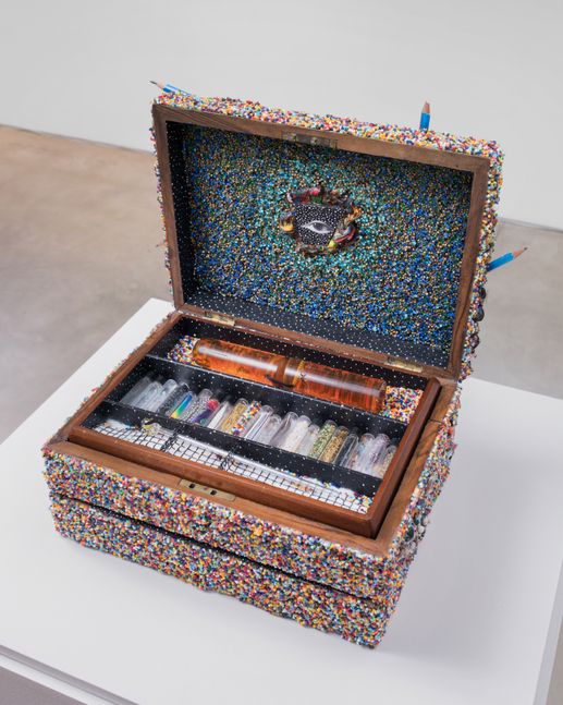 Lucas Samaras, Box #132, 1989