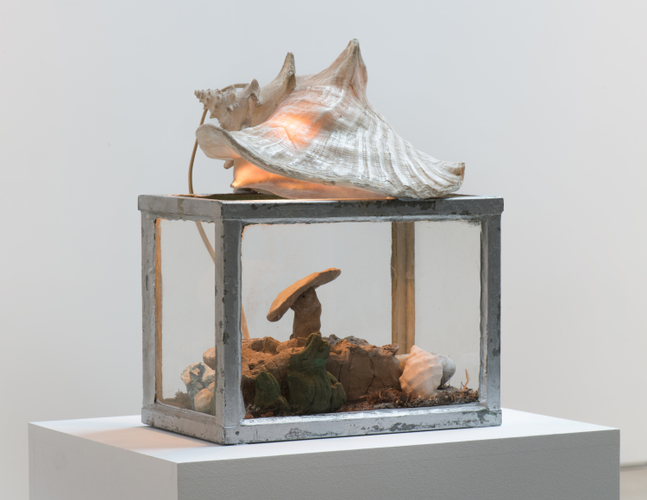 Paul Thek, Fish Tank, 1969