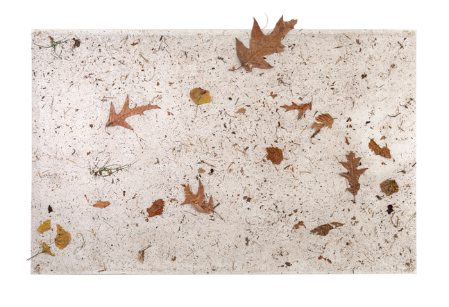 Reynier Leyva Novo Rothko Chapelle, Global Active Dust Collection, 2025 dust on adhesive paper 44 1/2 x 31 1/2 inches