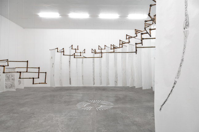 mariana castillo deball
hip&amp;oacute;tesis de un &amp;aacute;rbol, 2016
56 frottages, ink on japanese paper
variable dimensions


&amp;nbsp;
