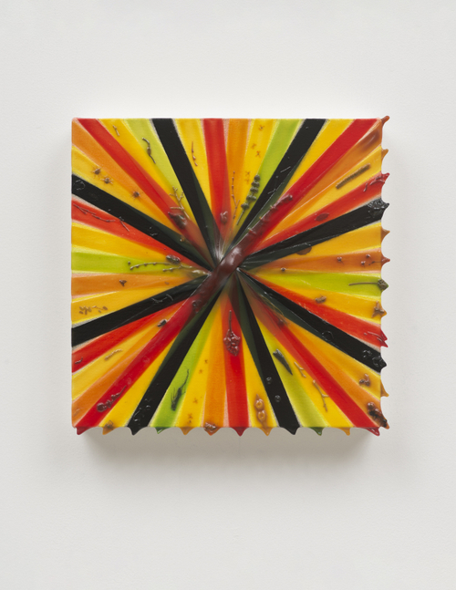 Joshua Tree Amber Rotation, 2012
Oil, flora, and fauna on canvas over panel
13 x 13 inches (33 x 33 cm)