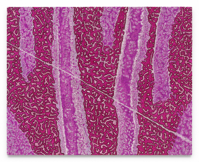 Douglas Melini

Curiouser and Curiouser, 2024

Oil on linen

48h x 60w in

&amp;nbsp;