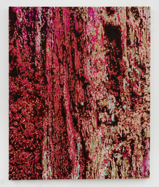 Douglas Melini

Tree (Redwood in magenta, red, brown and purples), 2025

Oil on linen

66h x 54w in

&amp;nbsp;

&amp;nbsp;